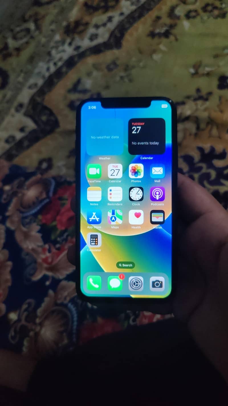 Apple iPhone X bypass 1