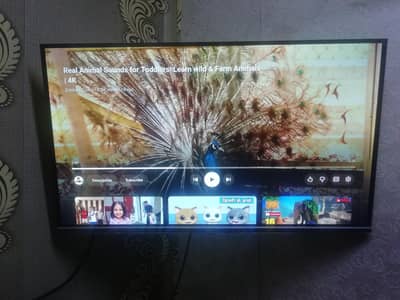 dawlance google tv