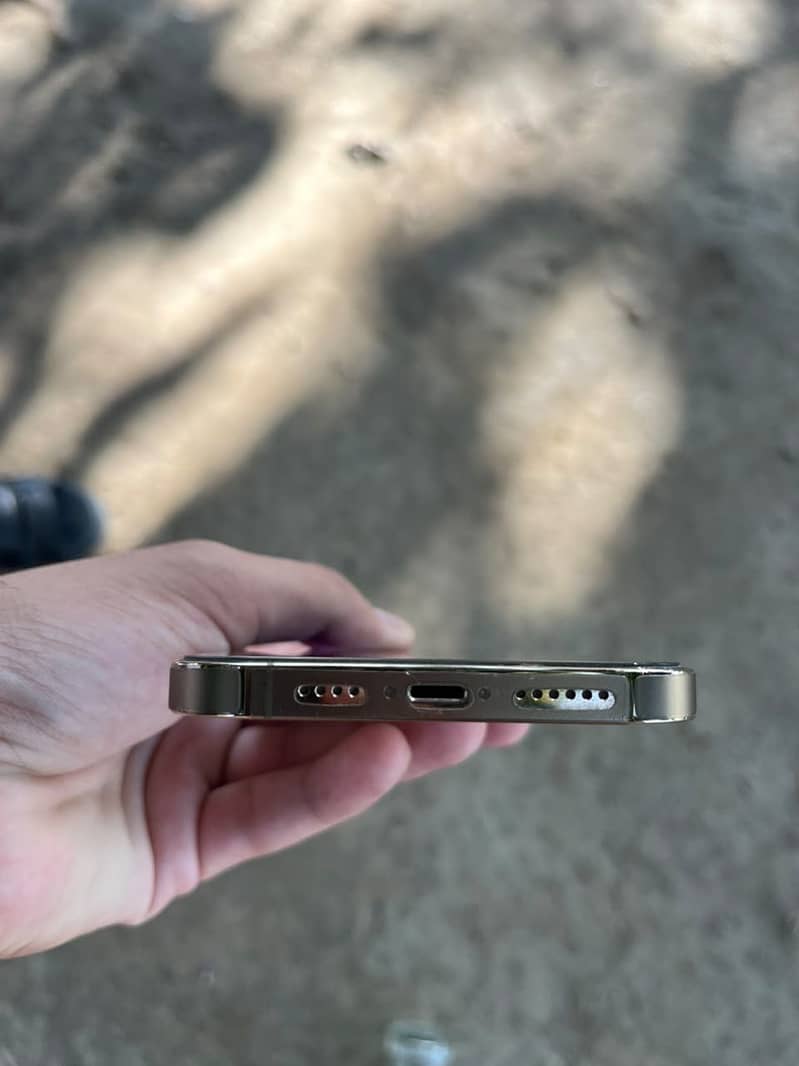 Apple iPhone 13 Pro Max 1