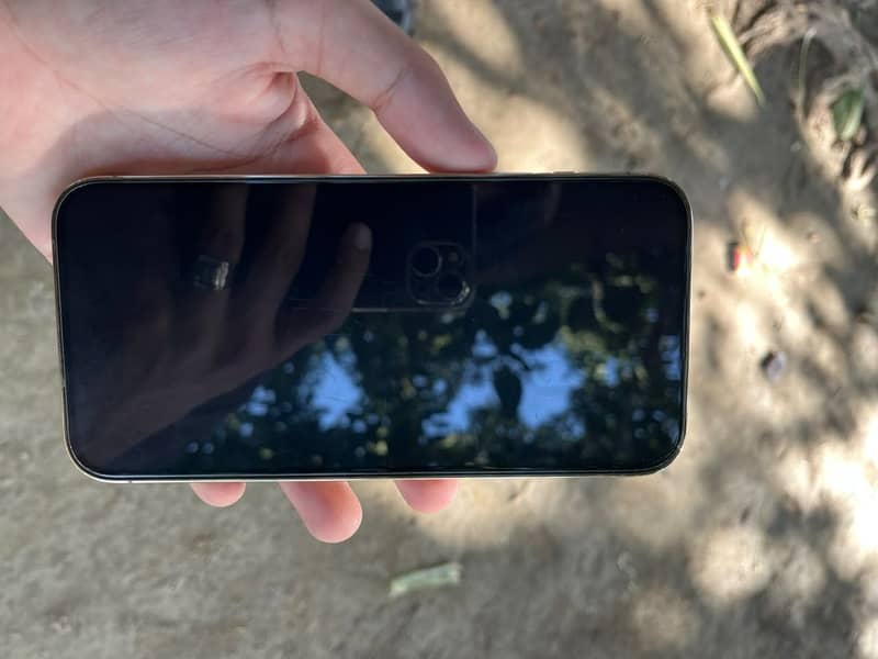 Apple iPhone 13 Pro Max 2