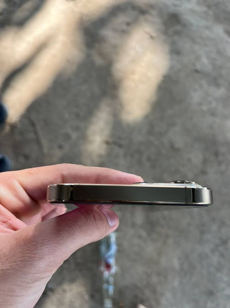 Apple iPhone 13 Pro Max 3