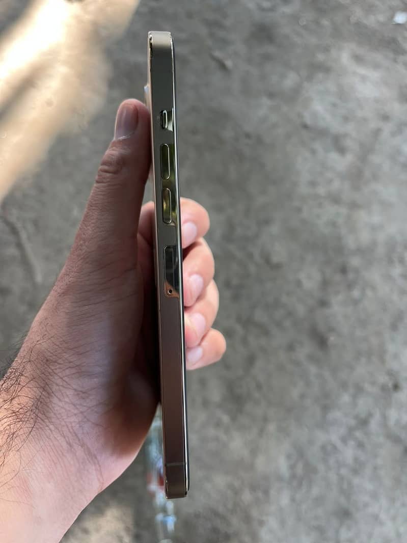 Apple iPhone 13 Pro Max 5