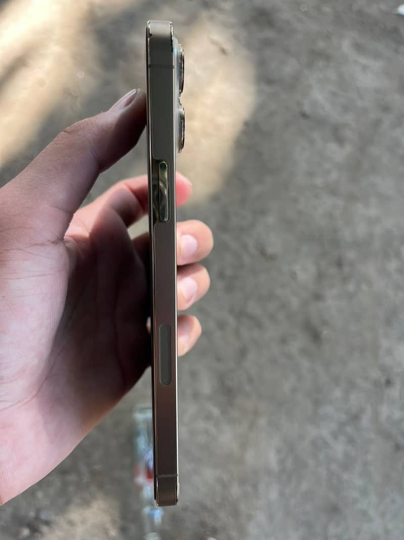 Apple iPhone 13 Pro Max 6