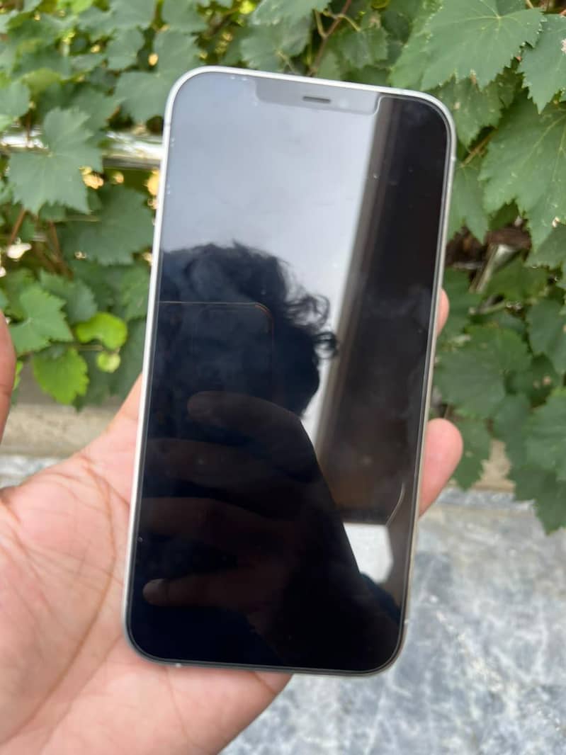 Apple iPhone 12 Pro Max 1