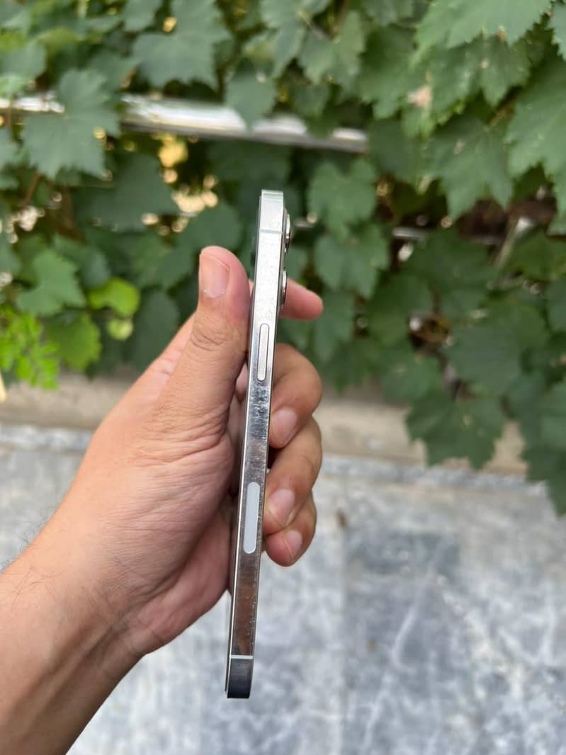 Apple iPhone 12 Pro Max 2