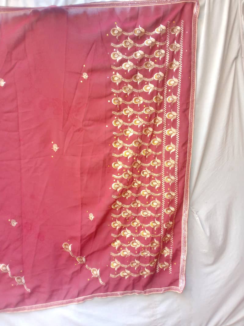 indiyan gorjet saree 6