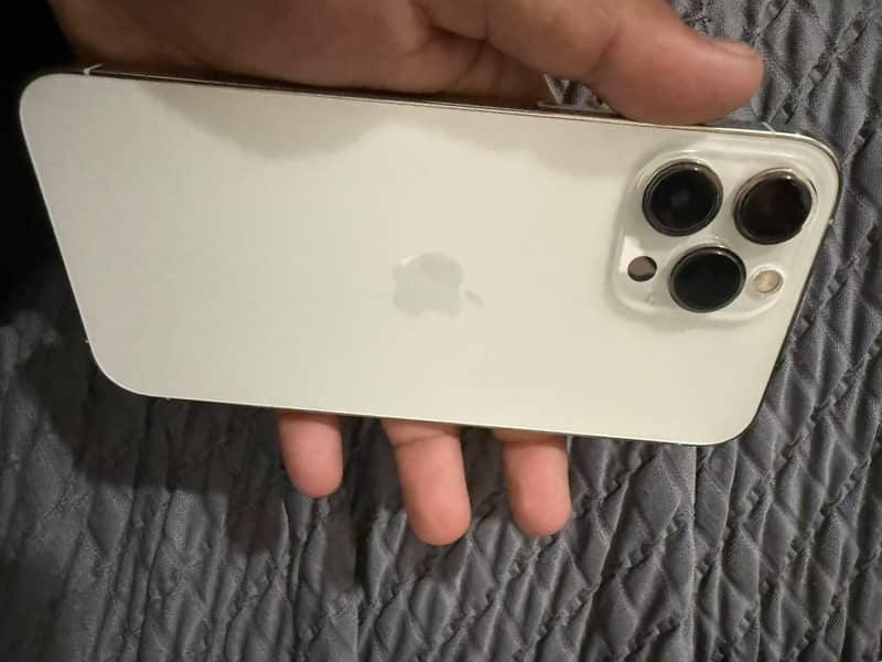 Apple iPhone 13 Pro Max 5