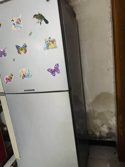 Full size refrigerator PEL Brand