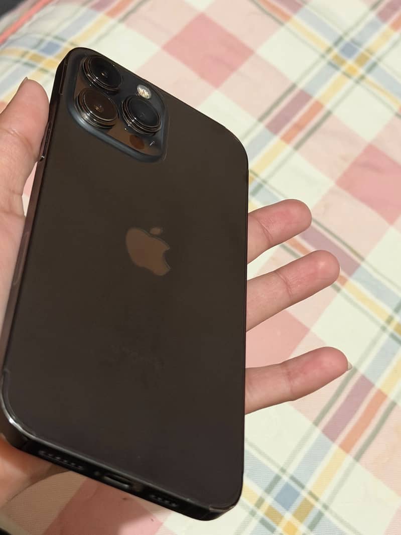 Apple iPhone 13 Pro Max 1