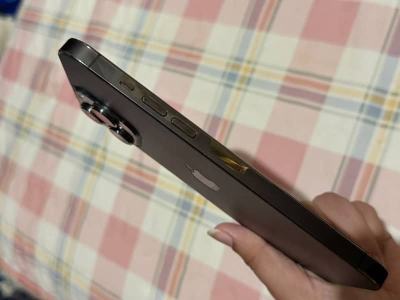 Apple iPhone 13 Pro Max 2