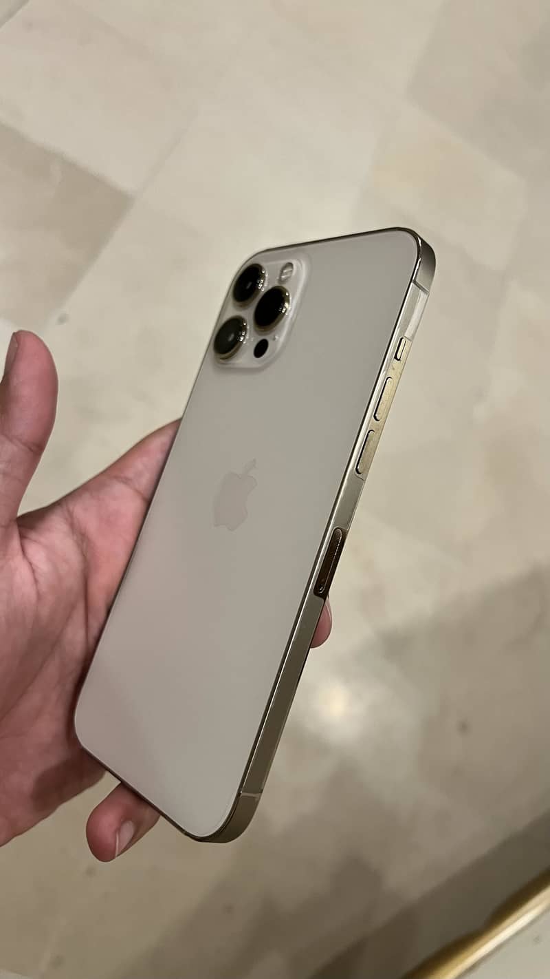 Apple iPhone 12 Pro Max PTA 1
