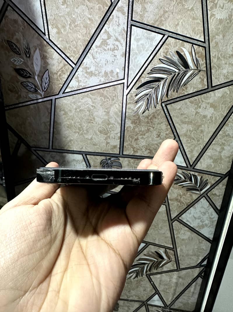 Apple iPhone 13 Pro 3