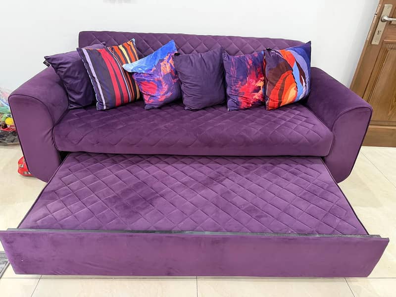Sofa Cum Bed 1