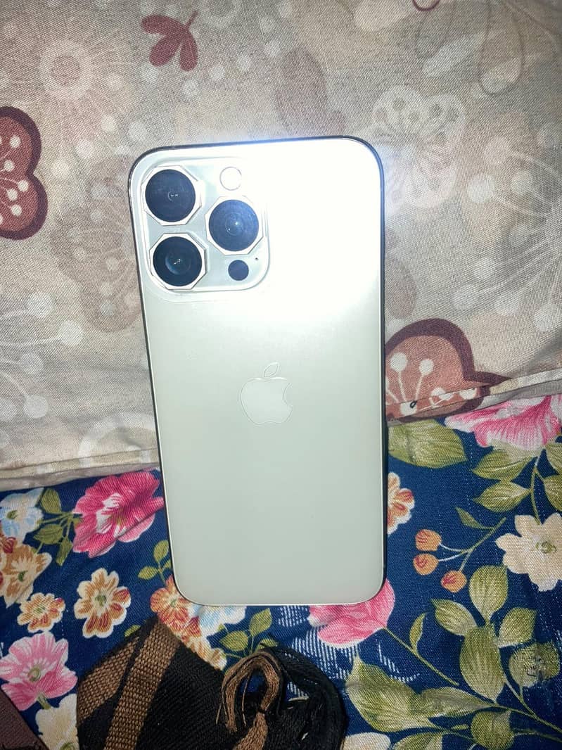 Apple iPhone 15 Pro Max 1
