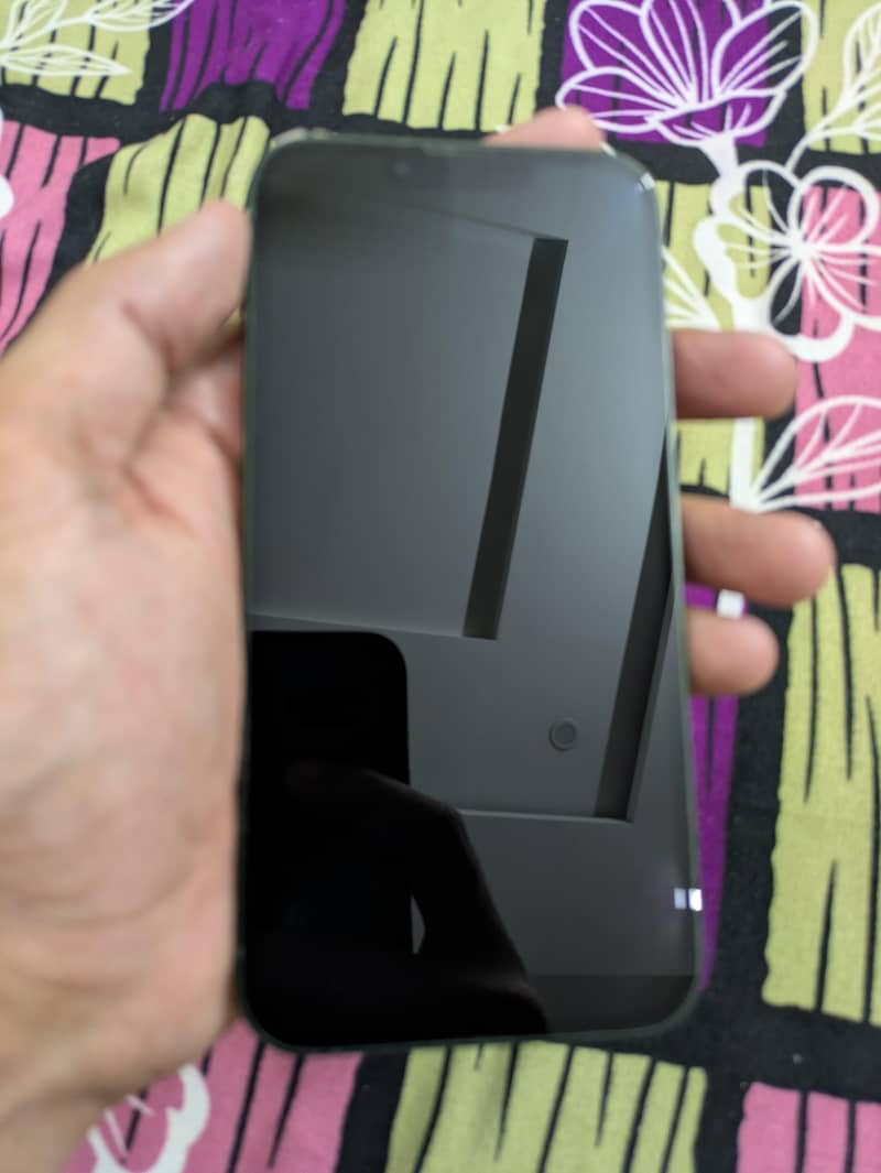 Apple iPhone 13 0