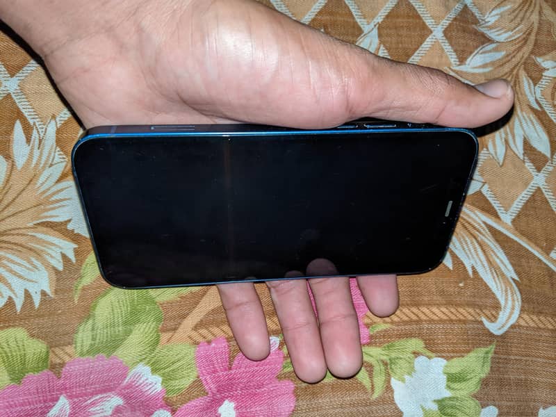 iPhone 12 1