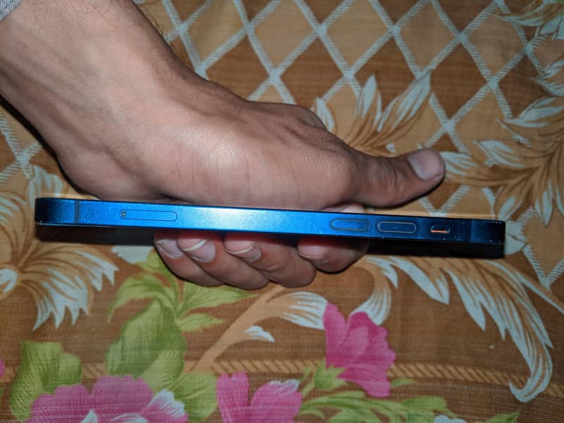iPhone 12 4