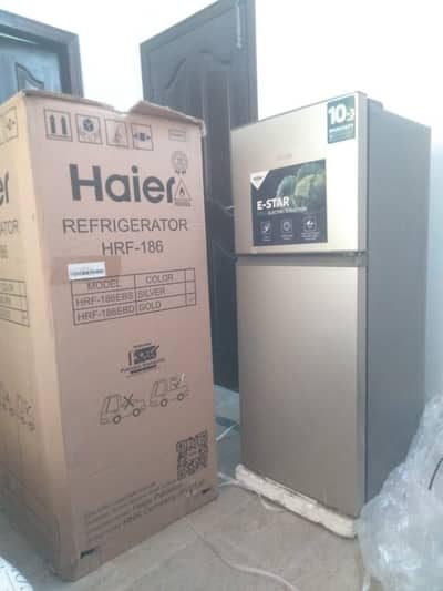 Hair refrigerator medium size