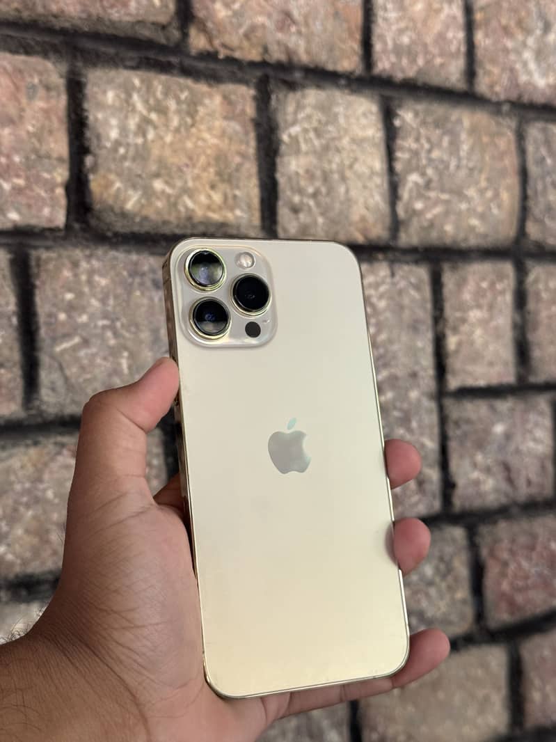 Apple iPhone 13 Pro Max 0