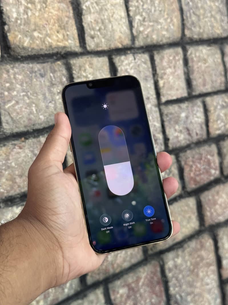 Apple iPhone 13 Pro Max 1