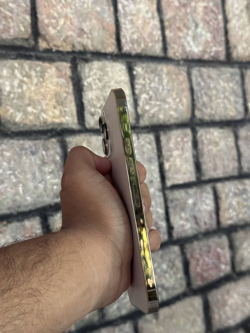 Apple iPhone 13 Pro Max 3