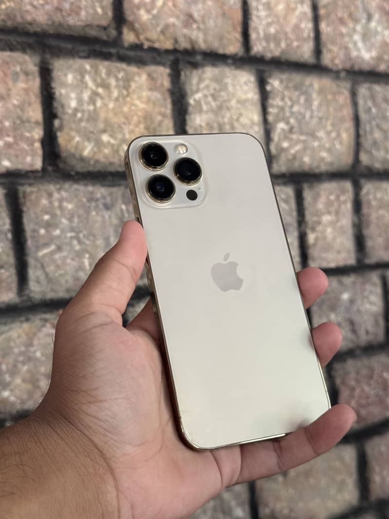 Apple iPhone 13 Pro Max 6