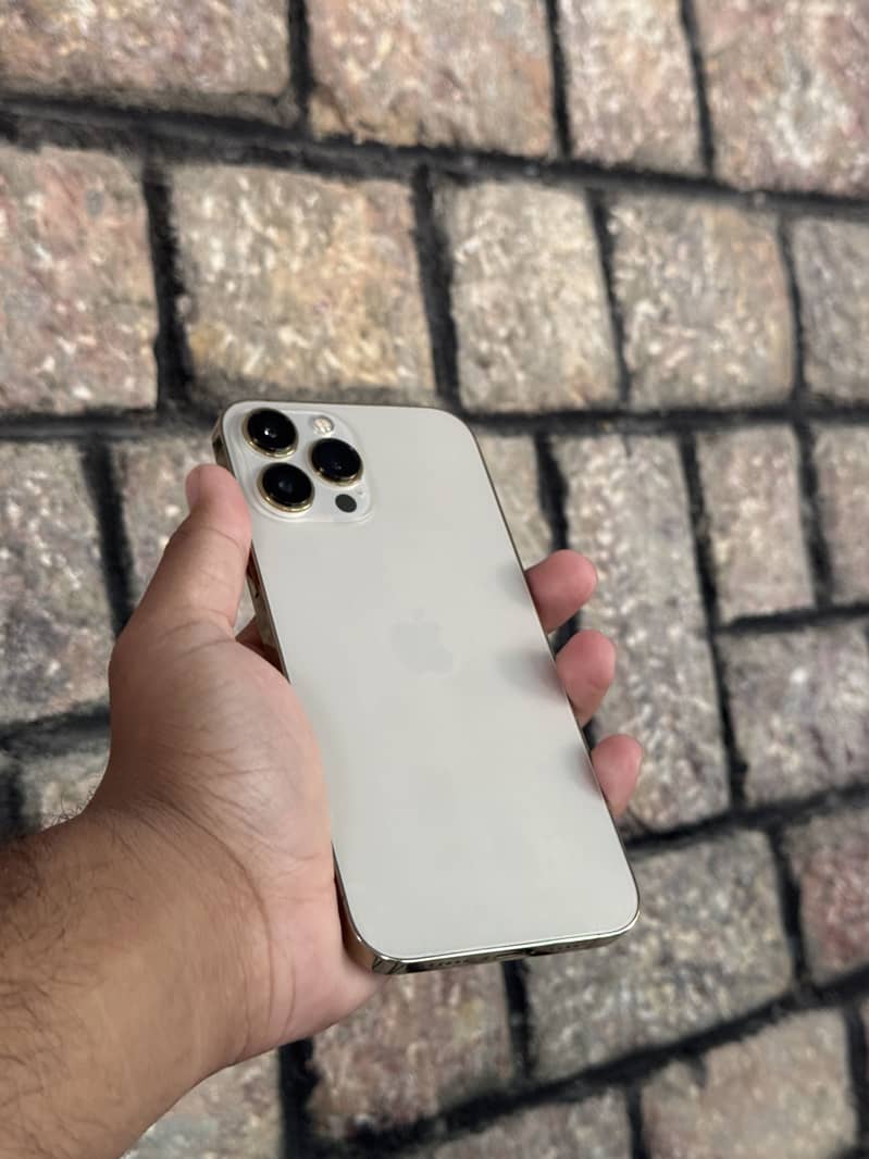 Apple iPhone 13 Pro Max 7