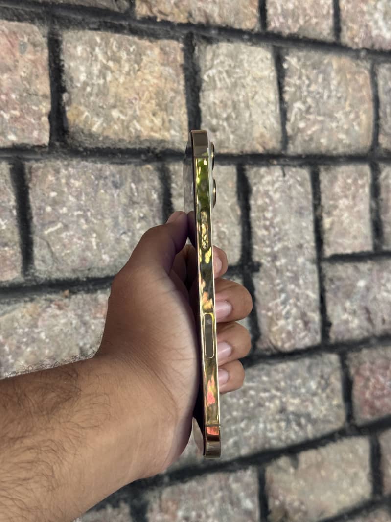 Apple iPhone 13 Pro Max 8