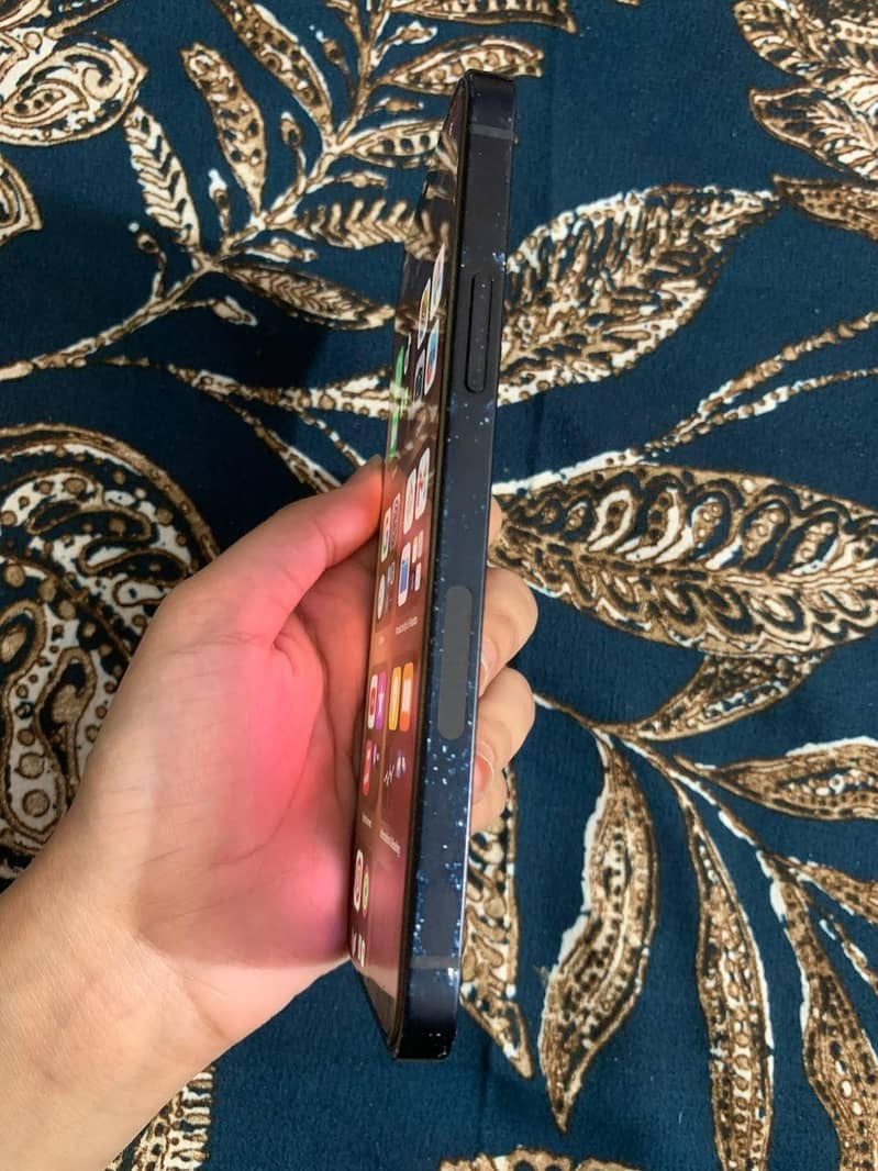 Apple iPhone 12 1