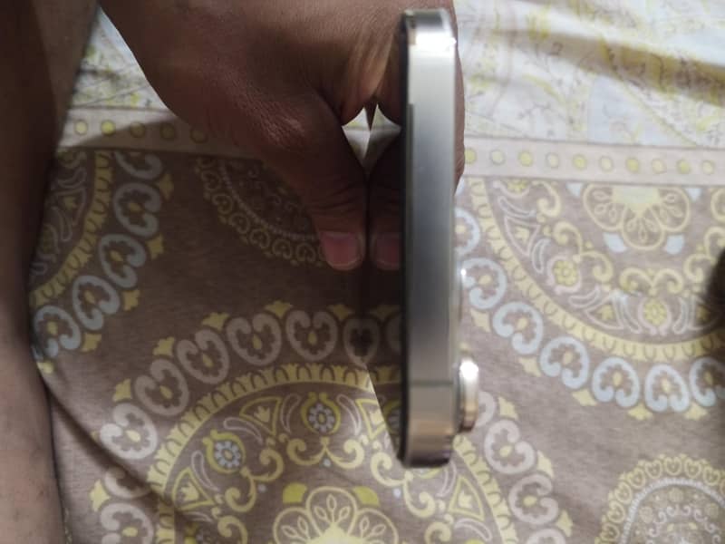 Apple iPhone 13 Pro Max 1