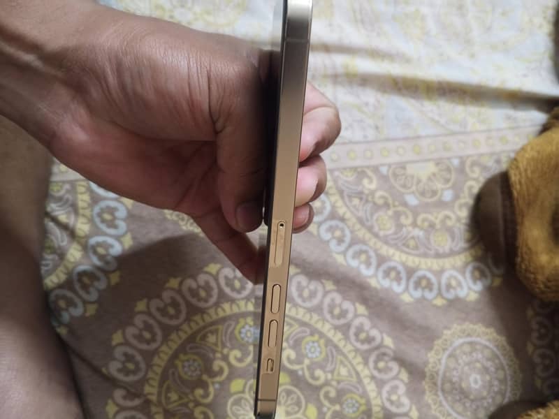 Apple iPhone 13 Pro Max 2