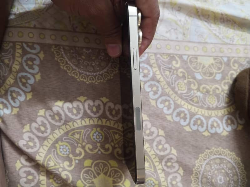 Apple iPhone 13 Pro Max 4