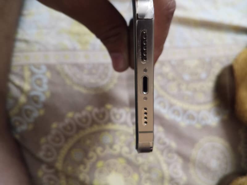 Apple iPhone 13 Pro Max 5