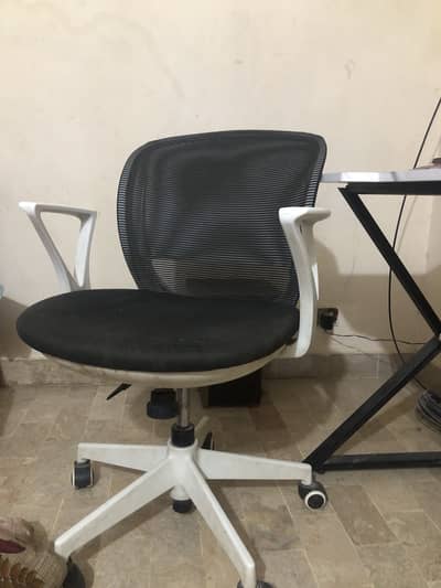 Office Chair Japani