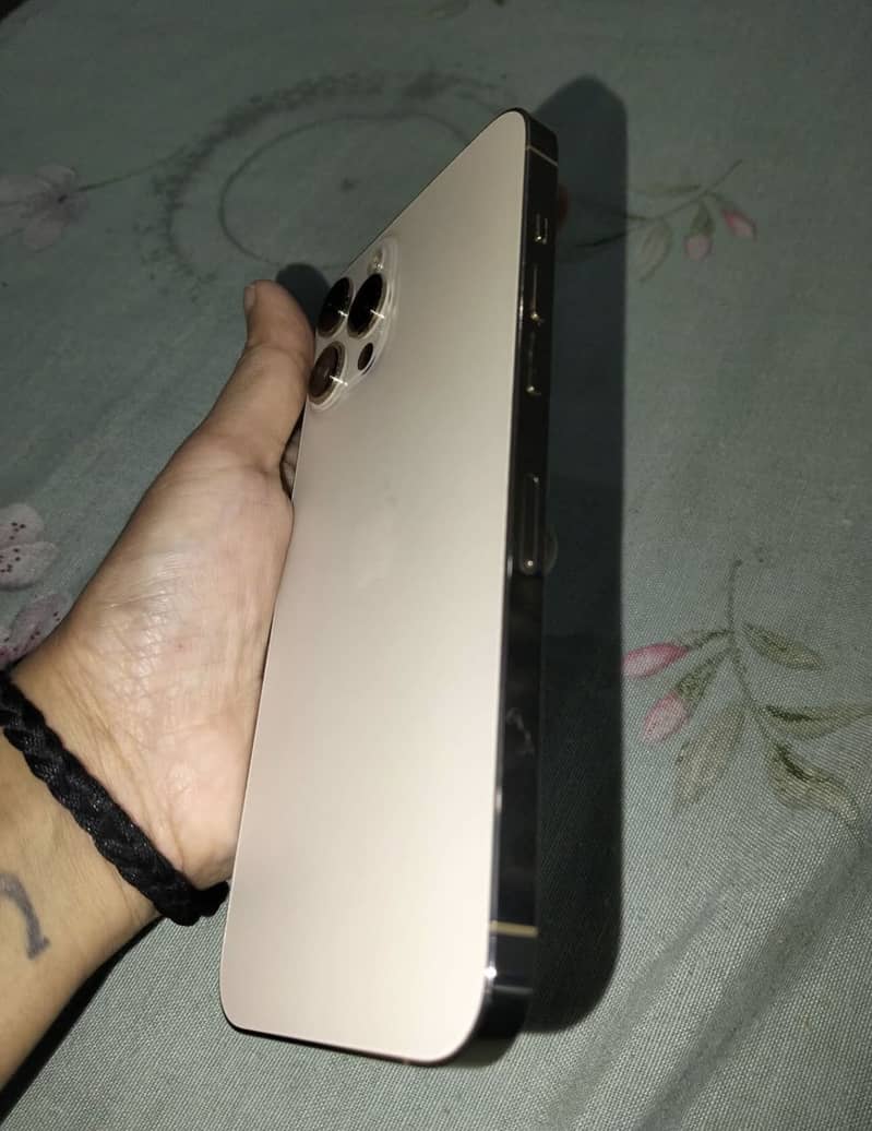 Apple iPhone 12 Pro Max 0