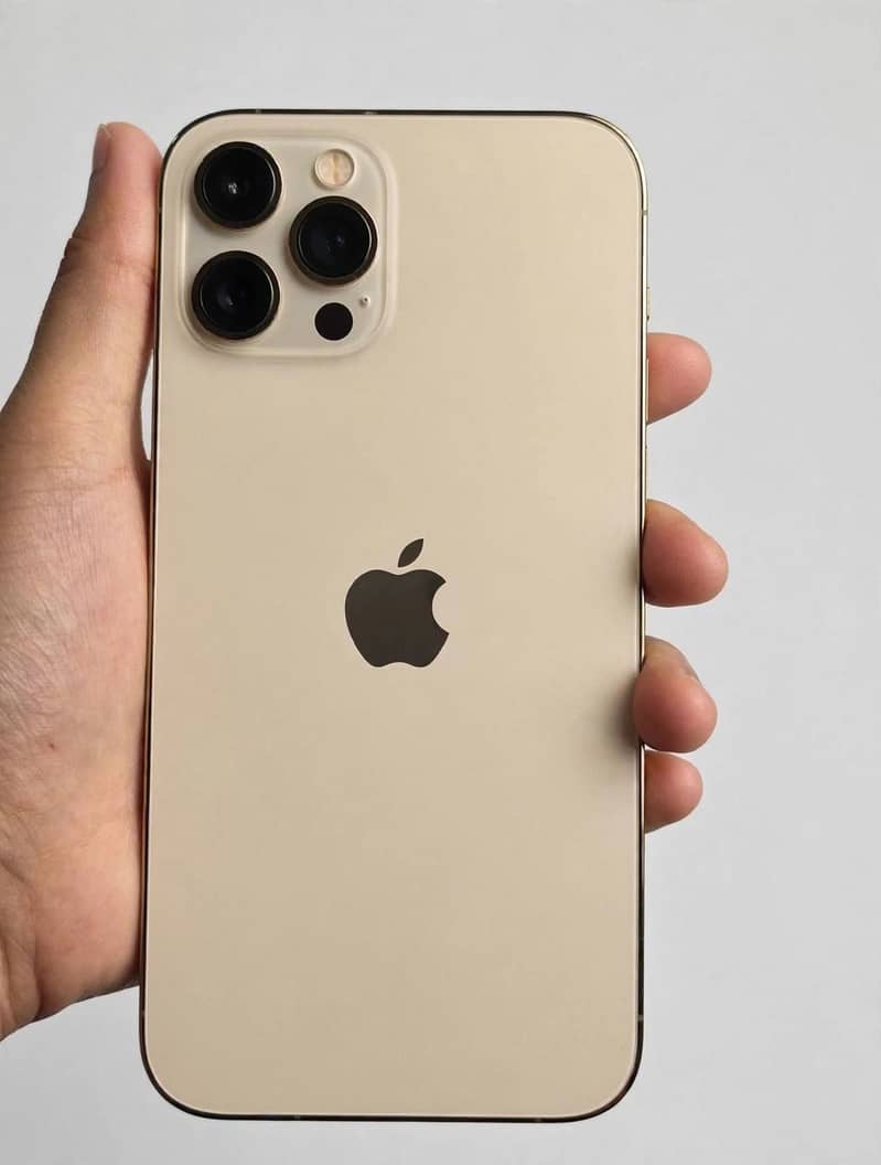 Apple iPhone 12 Pro Max 3