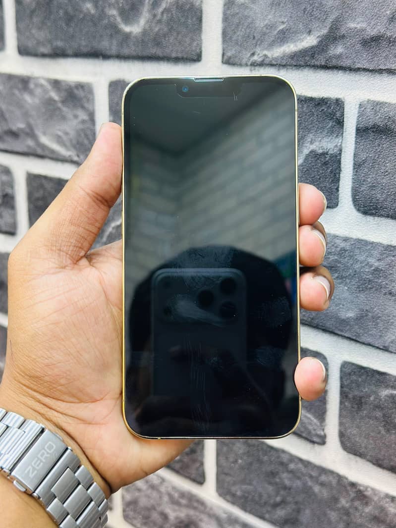 Apple iPhone 13 Pro Fu 2