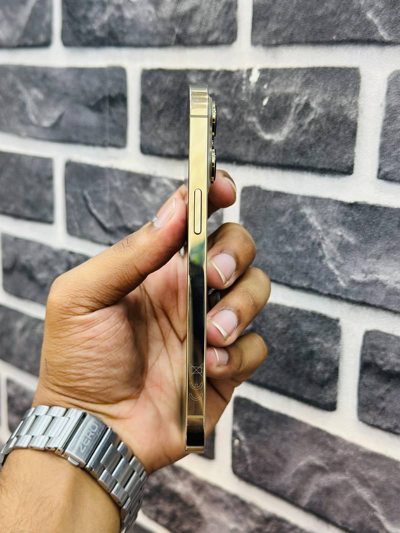 Apple iPhone 13 Pro Fu 3