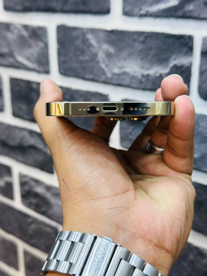 Apple iPhone 13 Pro Fu 5