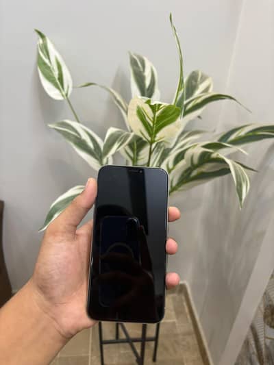 Apple iPhone X