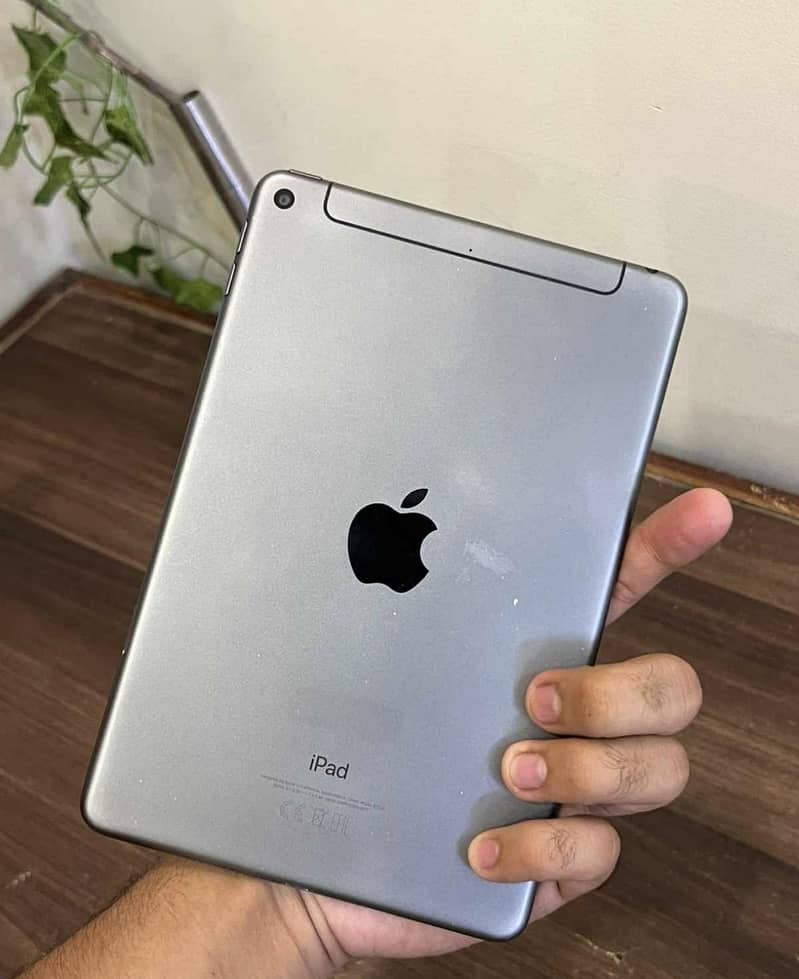 ipad mini 5 EX possible 0