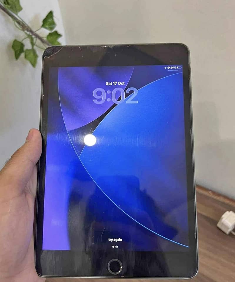 ipad mini 5 EX possible 1
