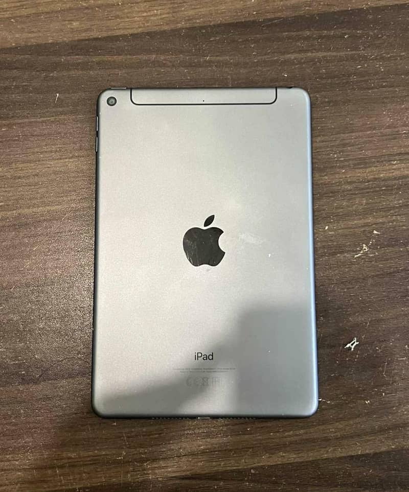 ipad mini 5 EX possible 6