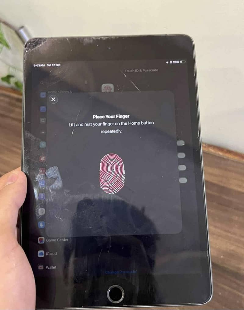 ipad mini 5 EX possible 9