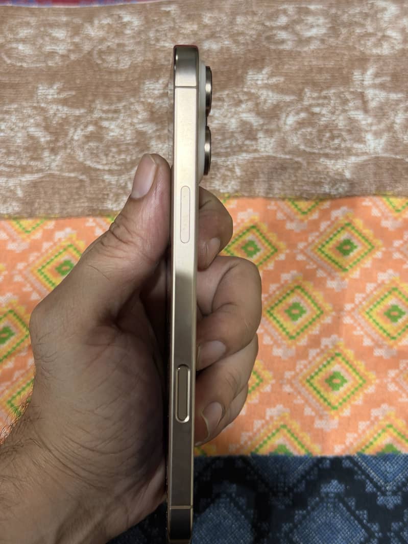 Apple iPhone 16 Pro Max 1