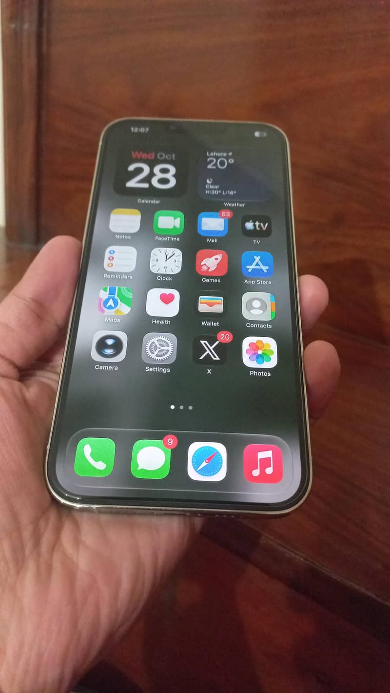 Apple iPhone 13 Pro Max 2