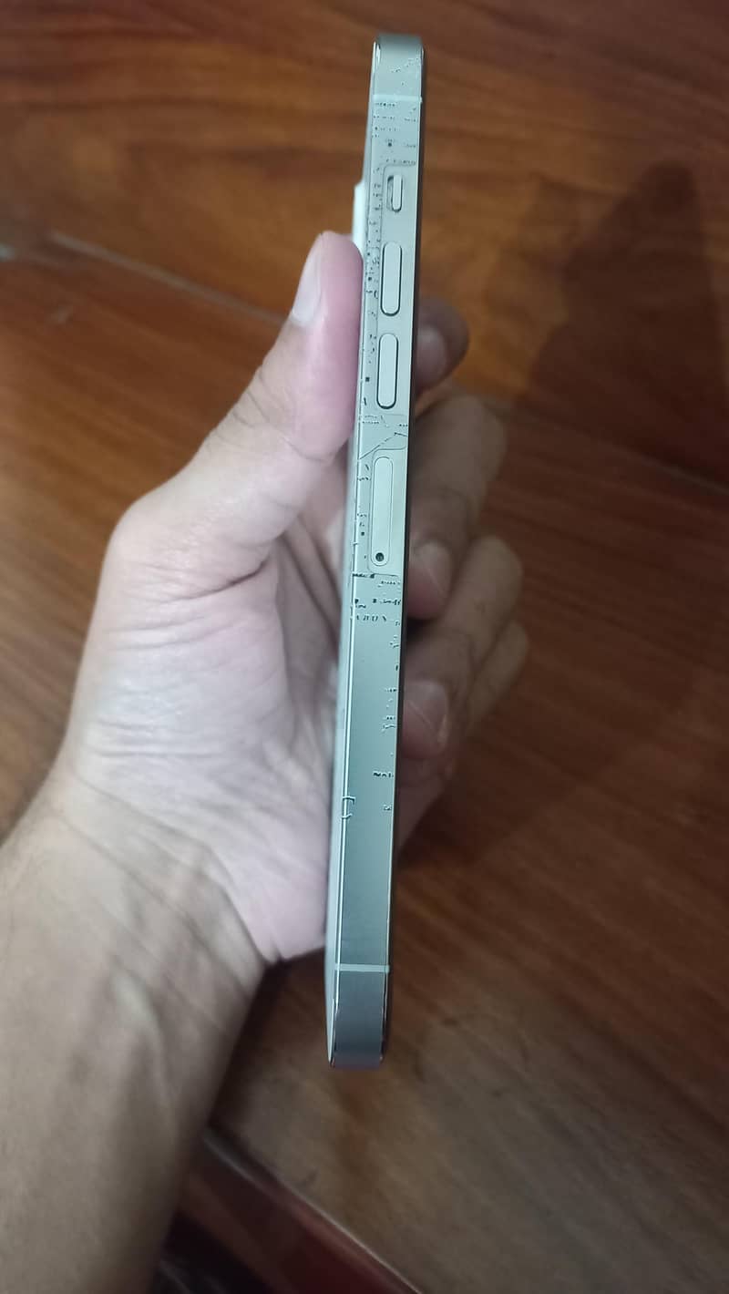 Apple iPhone 13 Pro Max 6