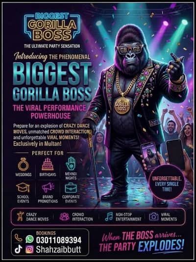 Big Gorilla available Multan city out of city