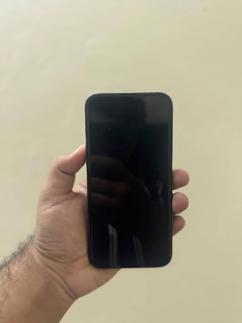 Apple iPhone 13 Pro Max 0