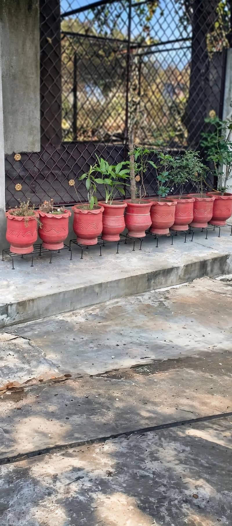 plant stand 2